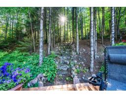 28 Ch. Mitchell, Otter Lake, QC J0X2P0 Photo 74