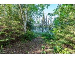 28 Ch. Mitchell, Otter Lake, QC J0X2P0 Photo 94