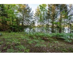 28 Ch. Mitchell, Otter Lake, QC J0X2P0 Photo 95
