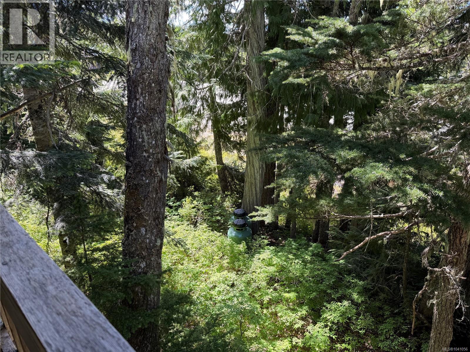 3 Mt. Cain Rd, Port McNeill