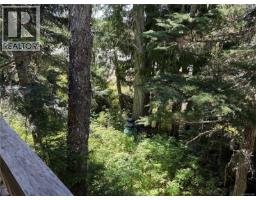 3 Mt. Cain Rd, Port Mcneill, BC V0N2R0 Photo 20