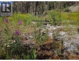 1655 Ashnola Road, Keremeos, BC V0X1N1 Photo 6