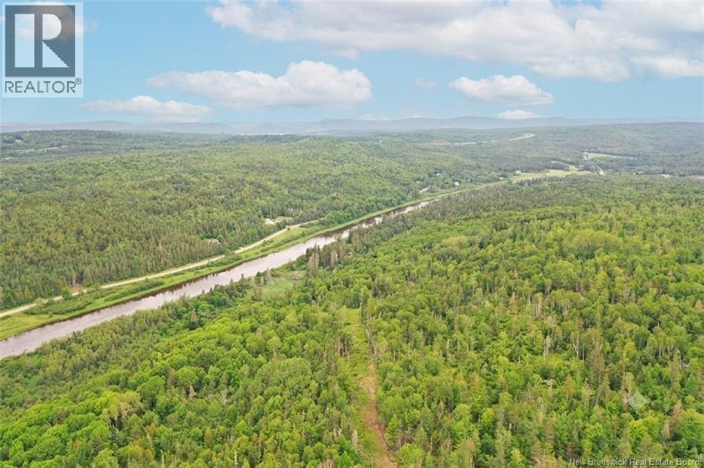 198 acres Damascus Road, Damascus — photo 3