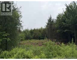 Lot 1 W P Black Lane, New Canaan, NB E4Z5X5 Photo 6