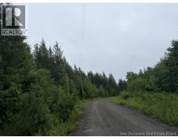 Lot 1 W P Black Lane, New Canaan, NB E4Z5X5 Photo 8