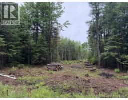 Lot 2 W P Black Lane, New Canaan, NB E4Z5X5 Photo 10