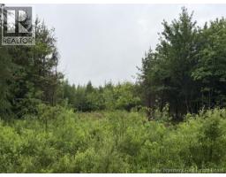 Lot 2 W P Black Lane, New Canaan, NB E4Z5X5 Photo 7