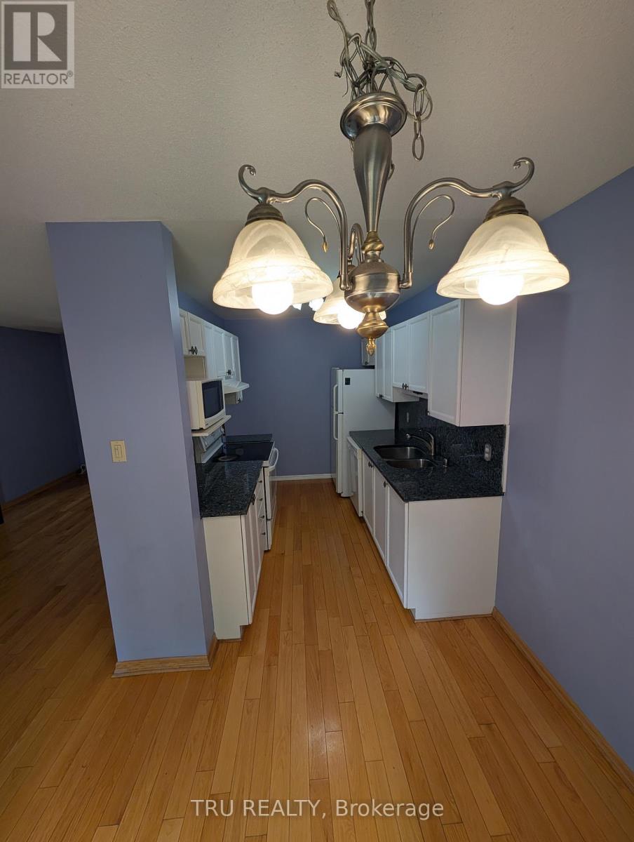 3 Bed, 2 Bath House for Rent in Ottawa – 19 MOUNTSHANNON DRIVE, Ottawa – MLS# X13475574 - Image 11