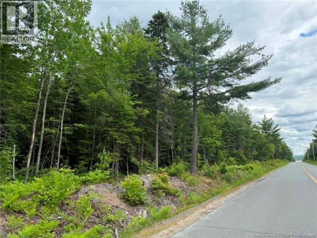 Lot 2 Hansen Road, Miramichi — photo 3