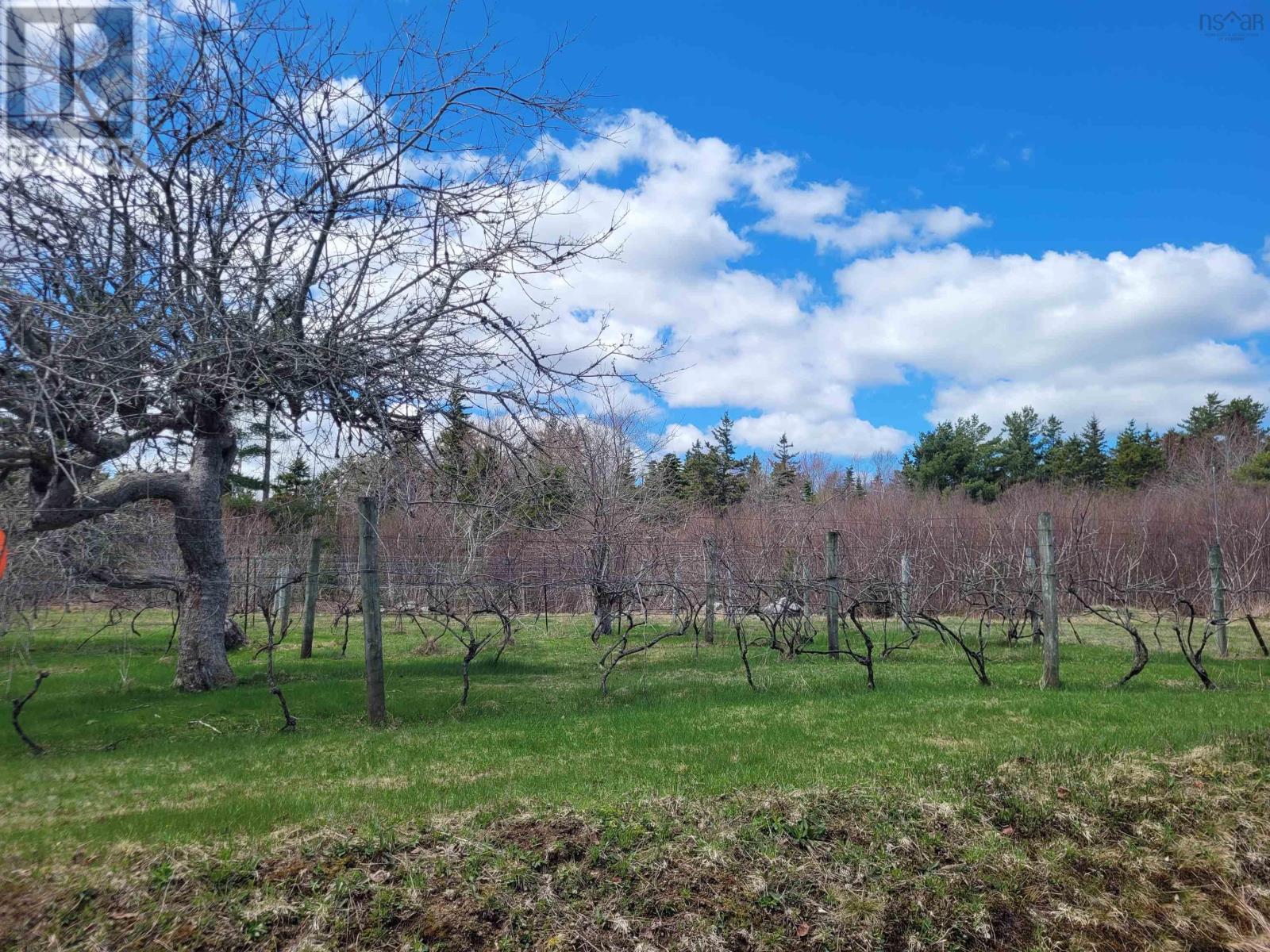 1214 Old Port Mouton Road - 39