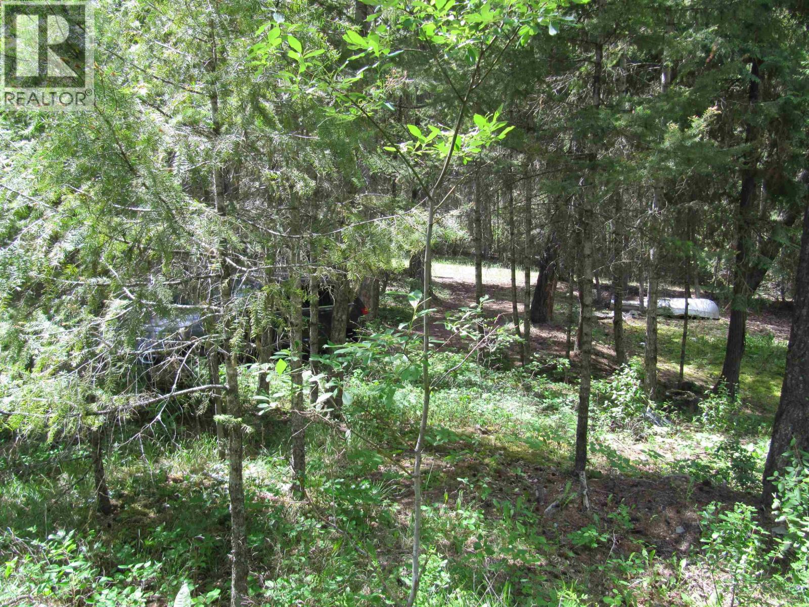 3817 CANIM-HENDRIX LAKE ROAD - 6