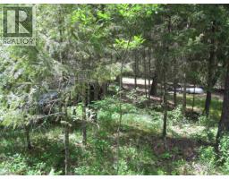 3817 Canim-hendrix Lake Road, Canim Lake, BC V0K1M0 Photo 6