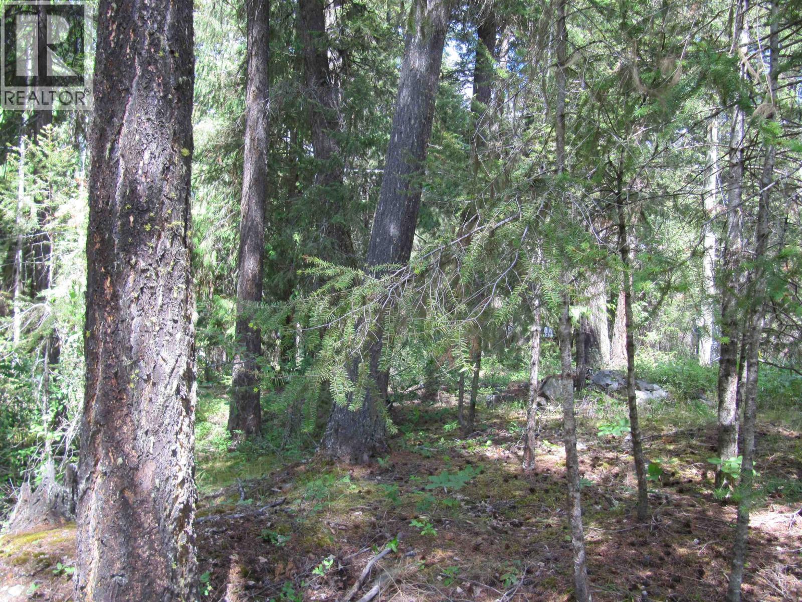 3817 CANIM-HENDRIX LAKE ROAD - Image 7