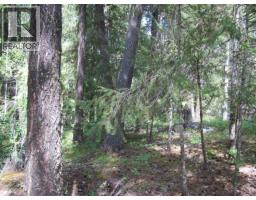 3817 Canim-hendrix Lake Road, Canim Lake, BC V0K1M0 Photo 7