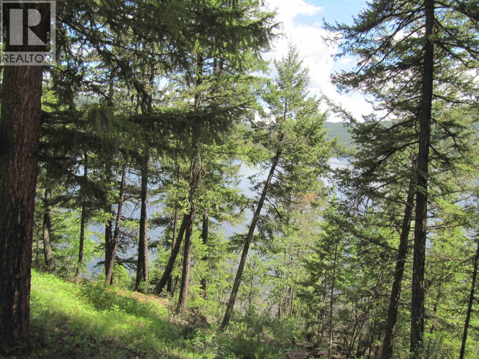 3817 CANIM-HENDRIX LAKE ROAD - 8