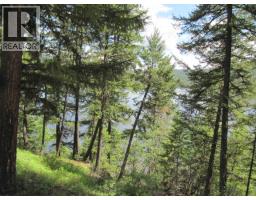 3817 Canim-hendrix Lake Road, Canim Lake, BC V0K1M0 Photo 8