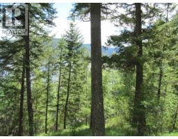 3817 Canim-hendrix Lake Road, Canim Lake, BC V0K1M0 Photo 9