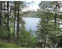 3817 Canim-hendrix Lake Road, Canim Lake, BC V0K1M0 Photo 23