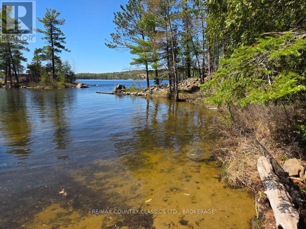 860 MAZINAW LAKE - 2