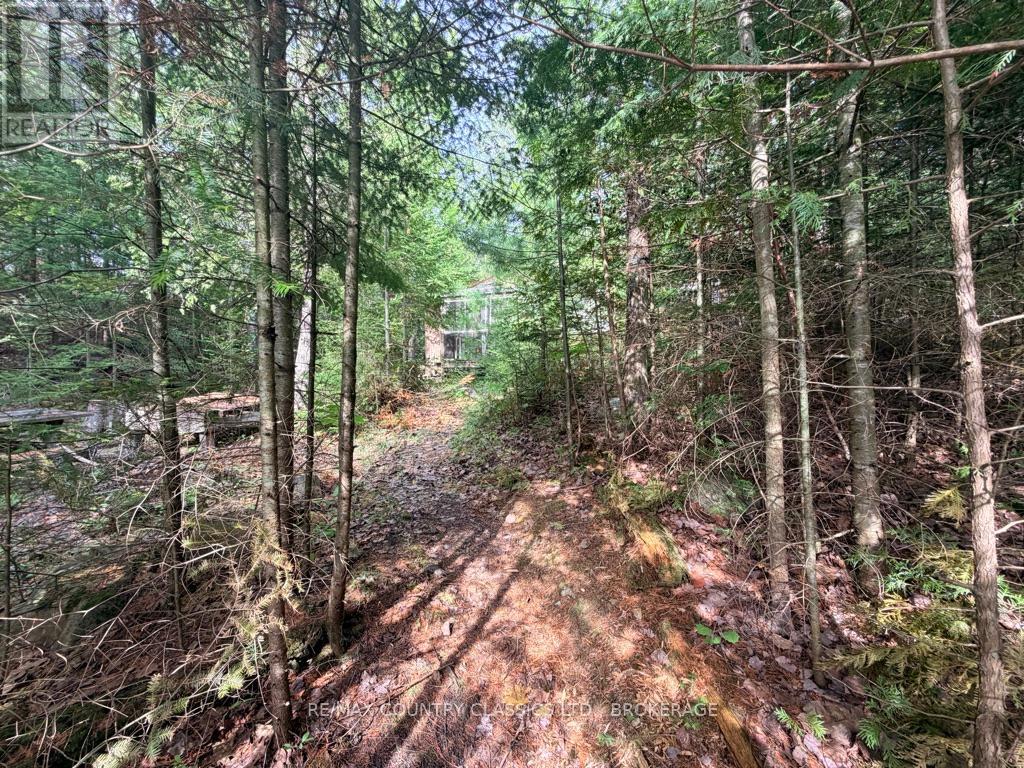 860 MAZINAW LAKE - 3