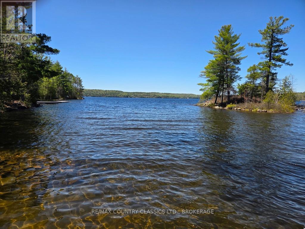 860 MAZINAW LAKE - 14