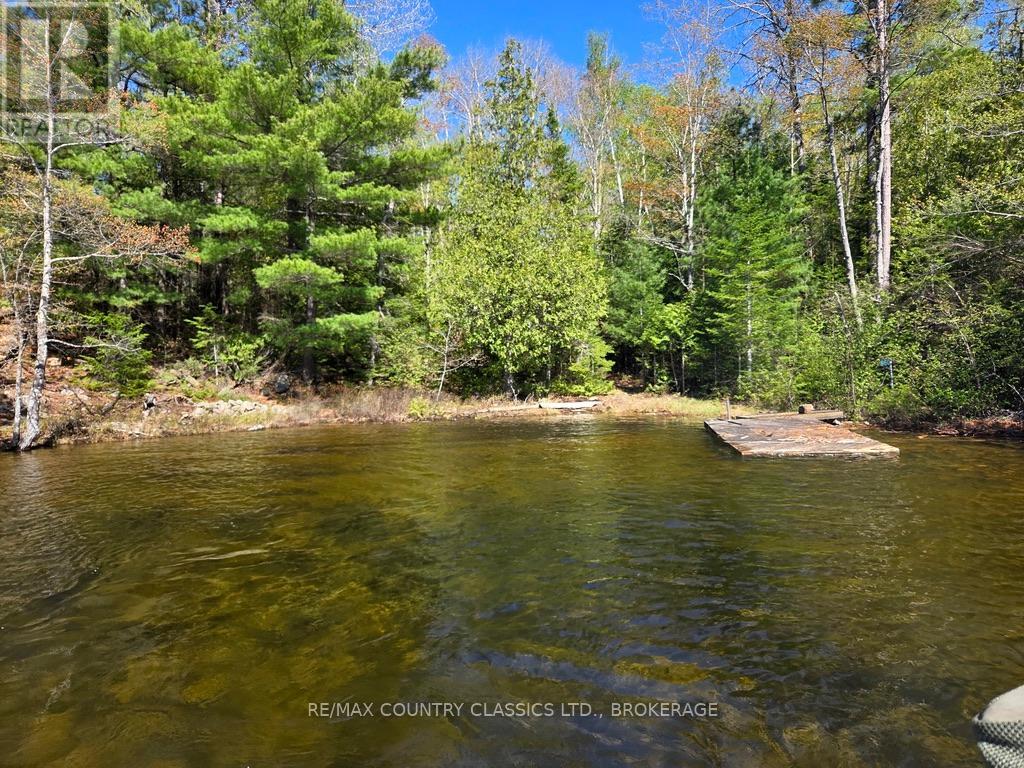 860 MAZINAW LAKE - 15