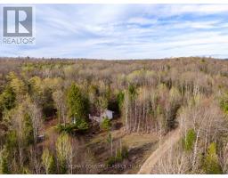 1374 Havensford Drive, Highlands East, ON K0L1M0 Photo 18