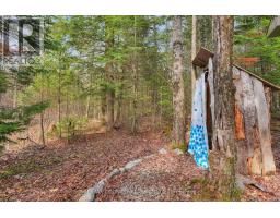 1374 Havensford Drive, Highlands East, ON K0L1M0 Photo 13