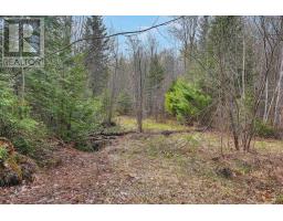 1374 Havensford Drive, Highlands East, ON K0L1M0 Photo 17
