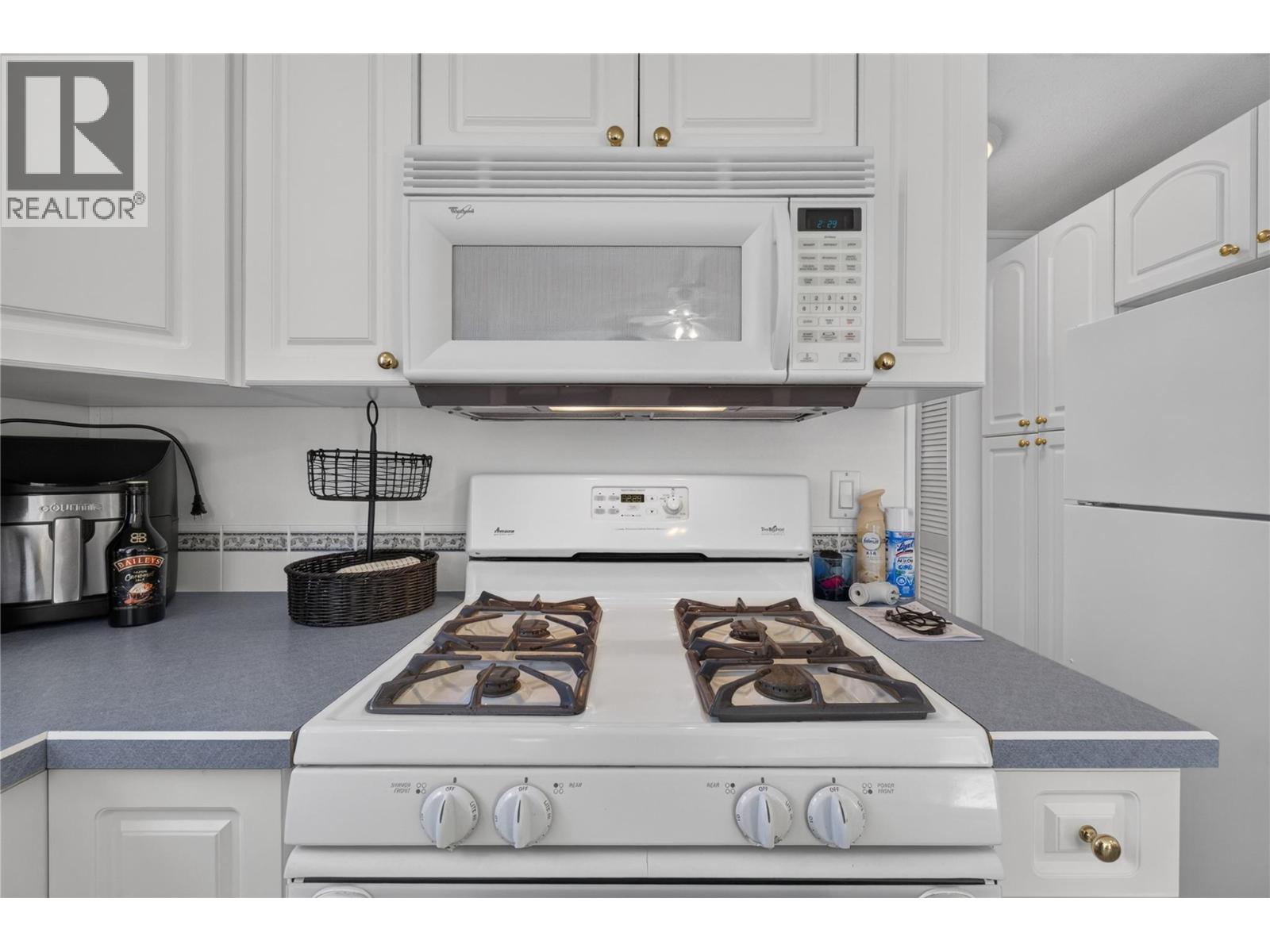 19 1455 Silver Sands Road, Sicamous