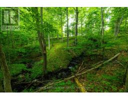 Tbd Scott Lane, Rideau Lakes, ON K0G1V0 Photo 14