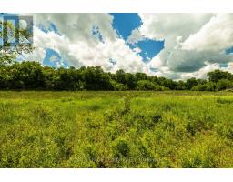 Tbd Scott Lane, Rideau Lakes, ON K0G1V0 Photo 15