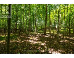 Tbd Scott Lane, Rideau Lakes, ON K0G1V0 Photo 17