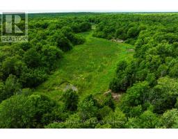 Tbd Scott Lane, Rideau Lakes, ON K0G1V0 Photo 7