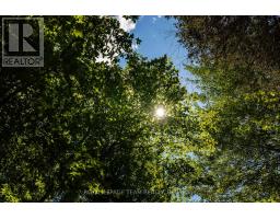 Tbd Scott Lane, Rideau Lakes, ON K0G1V0 Photo 16