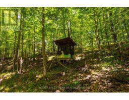 Tbd Scott Lane, Rideau Lakes, ON K0G1V0 Photo 18