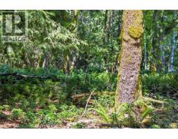10056 Victoria Rd, Chemainus, BC V0R1K2 Photo 19