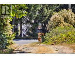 10056 Victoria Rd, Chemainus, BC V0R1K2 Photo 20