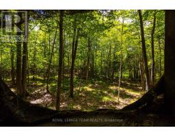 Tbd Scott Lane, Rideau Lakes, ON K0G1V0 Photo 19
