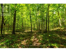 Tbd Scott Lane, Rideau Lakes, ON K0G1V0 Photo 10
