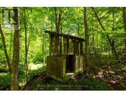 Tbd Scott Lane, Rideau Lakes, ON K0G1V0 Photo 11