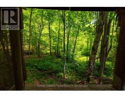 Tbd Scott Lane, Rideau Lakes, ON K0G1V0 Photo 12