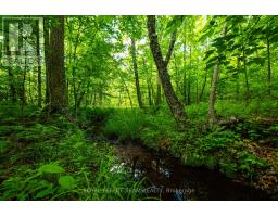 Tbd Scott Lane, Rideau Lakes, ON K0G1V0 Photo 13