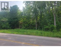 12577 Loyalist Parkway Ne, Prince Edward County, ON K0K2T0 Photo 14