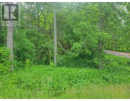 12577 Loyalist Parkway Ne, Prince Edward County, ON K0K2T0 Photo 15