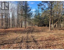 12577 Loyalist Parkway Ne, Prince Edward County, ON K0K2T0 Photo 8