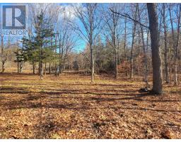 12577 Loyalist Parkway Ne, Prince Edward County, ON K0K2T0 Photo 9