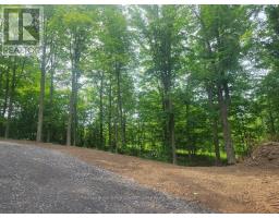 12577 Loyalist Parkway Ne, Prince Edward County, ON K0K2T0 Photo 6