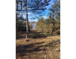12577 Loyalist Parkway Ne, Prince Edward County, ON K0K2T0 Photo 11