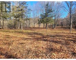 12577 Loyalist Parkway Ne, Prince Edward County, ON K0K2T0 Photo 12